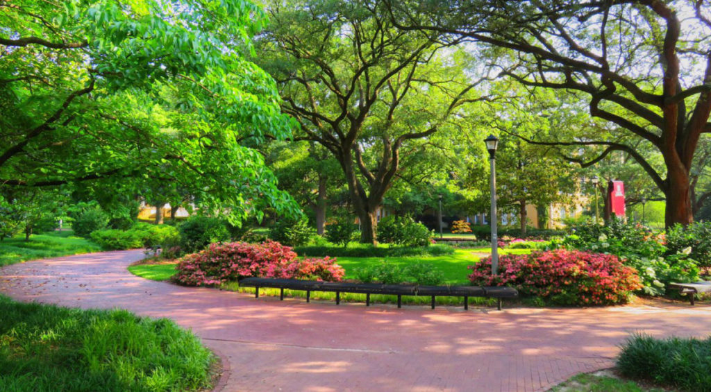 EDU AOC 30TopAccreditedSchoolsOfferingOnlineMastersDegrees 25 UniversityofSouthCarolina