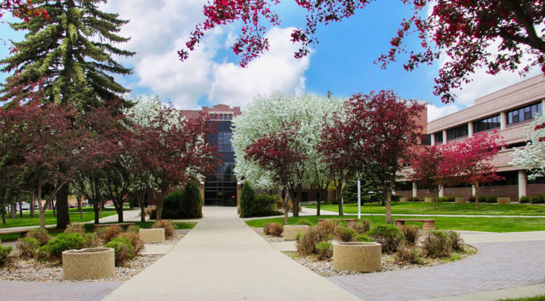 nationally accredited online universities