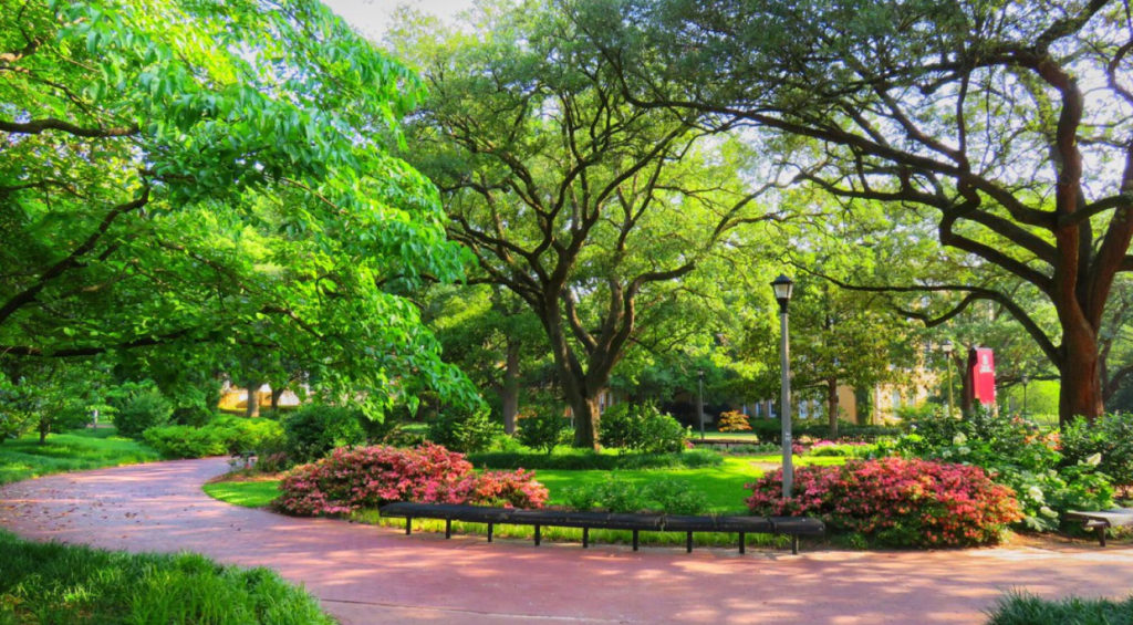 EDU AOC 30EasiestAccreditedOnlineCollegeProgramsforUndergrads 28 UniversityofSouthCarolina