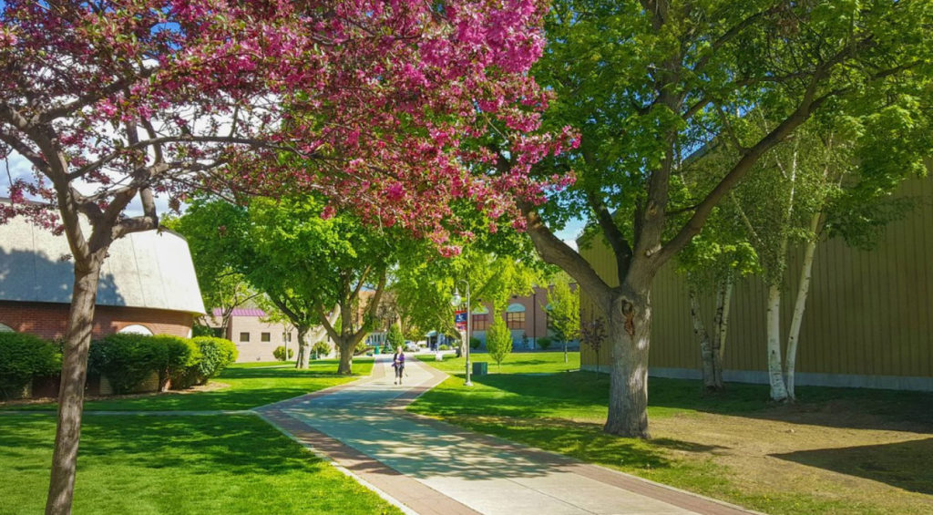EDU AOC 30EasiestAccreditedOnlineCollegeProgramsforUndergrads 9 Lewis ClarkStateCollege