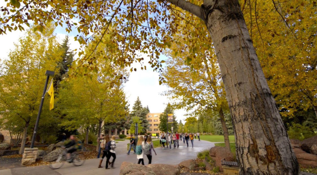 EDU AOC 30MostAffordableOnlineBusinessBachelrosDegrees 5 UniversityofWyoming