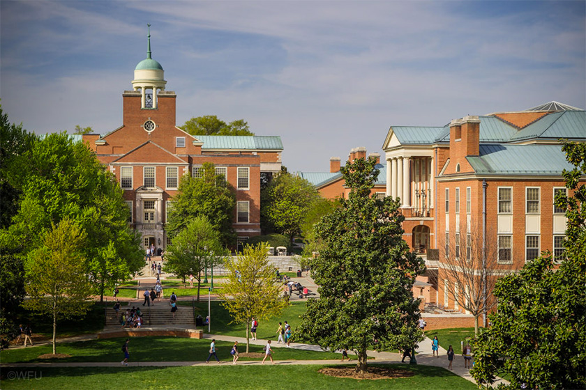 Top 15 Accredited Online PhD Programs