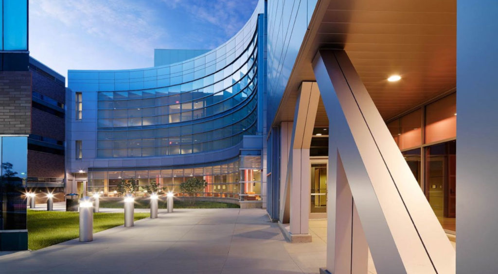 EDU AOC 20AccreditedOnlineCollegesforPhysicalTherapy WayneStateUniversity