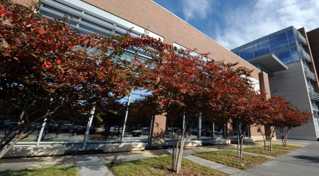 AugustaCollege
