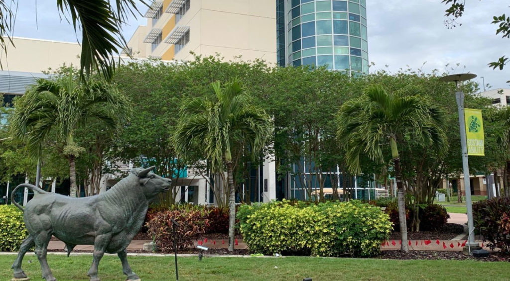 SouthFlorida