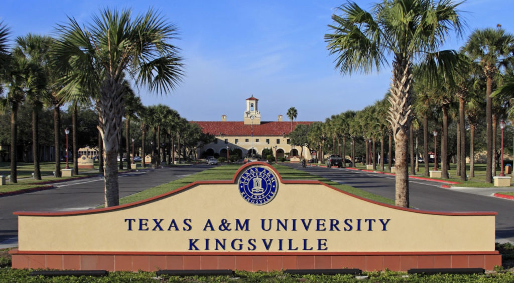 TexasA M Kingsville