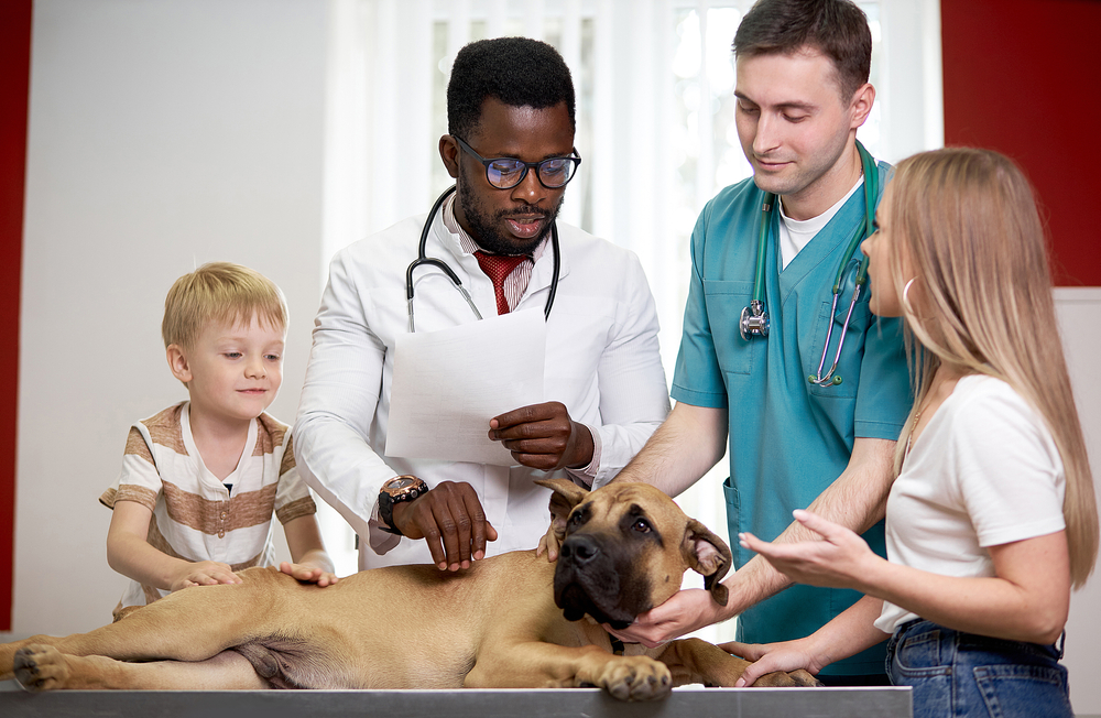 Combating Compassion Fatigue in the Veterinary Profession
